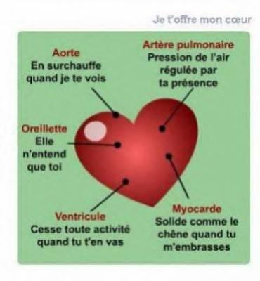 LE COEUR